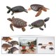 thumbnail image 5 of GOOHOCHY 4 piezas Figuras de tortugas juguetes Tortuga marina realista Modelo de tortuga de animales de plástico pequeños para la bañera de la piscina del juguete, 5 of 7