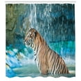 thumbnail image 3 of Ambesonne Tiger Shower Curtain, Feline Animal in Pond, 69"Wx75"L, Pale Brown Turquoise, 3 of 3
