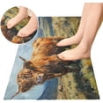 thumbnail image 4 of Highland Cow Bathroom Rug Mat Ultra Soft Non Slip and Absorbent Plush Rugs Washable Quick Dry Bath Rugs 39 x 20 Inches Home Decor, 4 of 7
