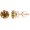 Rose Gold, variant on 1 Carat Total Weight Brown Diamond Solitaire Stud Earrings Pair 18K White Gold Popular Premium Collection 4 Prong Screw Back