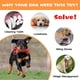 thumbnail image 4 of Juguete para perros, cepillo de dientes con forma de hueso masticable, palo de limpieza dental de goma resistente a las mordeduras para perros medianos y grandes, sabor a carne de res., 4 of 5