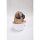 thumbnail image 4 of Figurine Hi-Line Gift Ltd Pug Puppy Poliresina, 4 of 5