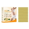 Eychin 100Pcs Herbal Ginger Patch Body Slimming Patches Promote Blood Circulation Fat Burning Pads Improve Sleep