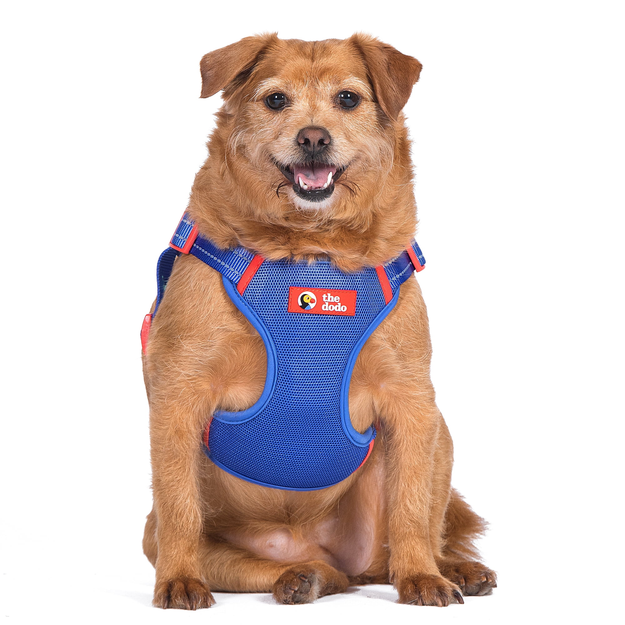 (2 pack) The Dodo: Adjustable Blue Mesh Harness - Small