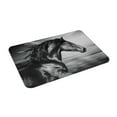 thumbnail image 2 of Daiia Design Name Door Mat Outdoor Indoor Hello Doormat, 16x24 Inch,Entry Rug Non-Slip Washable Indoor Door Mat, Small Oriental Accent Throw Rug For Bedroom Kitchen Entryway Bathroom, 2 of 9