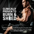 thumbnail image 4 of EHP Labs OxyShred Pre Workout Powder - Preworkout Powder with L Glutamine & Acetyl L Carnitine, Energy Boost Drink - Kiwi Strawberry, 60 Servings, 4 of 8
