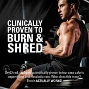 EHP Labs OxyShred Pre Workout Powder - Preworkout Powder with L Glutamine & Acetyl L Carnitine, Energy Boost Drink - Kiwi Strawberry, 60 Servings