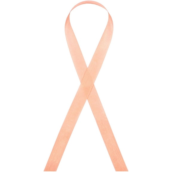 Seam Binding Rayon Ribbon 1/2-Inch x 100 Yards (106 - Peach)