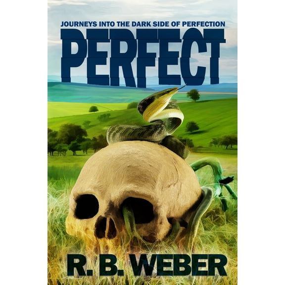 Perfect (Paperback)