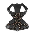 thumbnail image 4 of Lsque Flower Pattern On Black Dog Harness, No-Pull Pet Harness with 2 Leash Clips, Adjustable Soft Padded Dog Vest with Easy Control Handle for Large Dogs-Large, 4 of 9