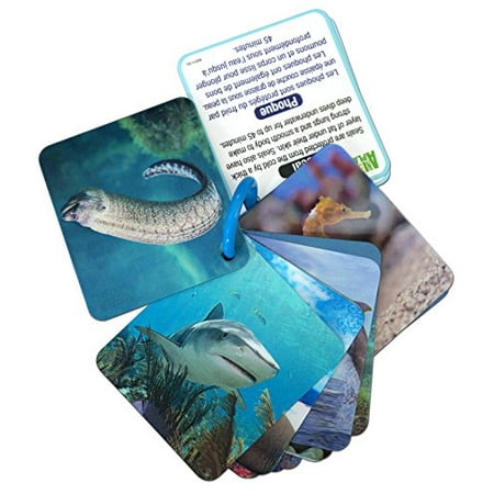 Animal Planet 3D Flash Cards - Marine Animals | Walmart Canada