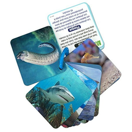 Animal Planet 3D Flash Cards - Marine Animals | Walmart Canada Animal Planet 3D Flash Cards - Marine Animals | Walmart Canada