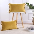 thumbnail image 2 of Soft Velvet Throw Pillowcovers 12×20 Set of 2 Pillow Cases Velvet Rectangular Pillow Covers with Tassels Lumbar Cushion Case, Cream, 12"×20", Set of 2, 2 of 9