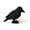 BLACK, variant on Witch Hat Frog Figurine, 4.55 in Multicolor Molded Halloween Tabletop Ornament for Desk, Shelf, Mantel and Party Decor