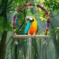 thumbnail image 4 of Parrot Trick Tabletop Toys Bird Training Basketball Stacking Rings Toy Kit Bird Puzzle Set, 4 of 4