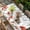 Red, variant on Red Mushrooms Table Cloths for 6 Foot Rectangle Tables, Eucalyptus Leaves Summer Botanical Rustic Patio Waterproof Elastic Fitted Tablecloths, Washable Rectangular Table Cover for Camping