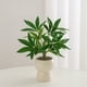 thumbnail image 4 of Decoración de Planta Verde Simulada, Plantas en Macetas Pequeñas, Decoración de Sala de Estar, Flores Artificiales, Plantas Verdes Eternas, Decoración de Bonsái Interior Decoraciones Del Hogar para La, 4 of 6