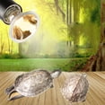 thumbnail image 4 of Hevirgo 25/50/75W UVA+UVB 3.0 Heating Light Bulb Lamp for Reptile Turtle Lizards Basking(75w), 4 of 9