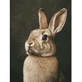 thumbnail image 1 of Qisvanset 12x16 Inch Sepia Vintage Bunny Canvas Wall Art, Rustic Rabbit Woodland Cottagecore Decor, 1 of 8