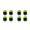 thumbnail image 1 of Ounissouiy 4 Uds plantas suculentas artificiales apariencia realista fácil de mantener decoración de balcón suculentas Baoshilian baoshiliano 2Conjunto, 1 of 6