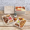 thumbnail image 5 of Sugarcane Fiber 24 Oz 4 Compartments Disposable Plates With Lids Bagasse Plant Fibers Freezer Safe 50 Pack, 5 of 7