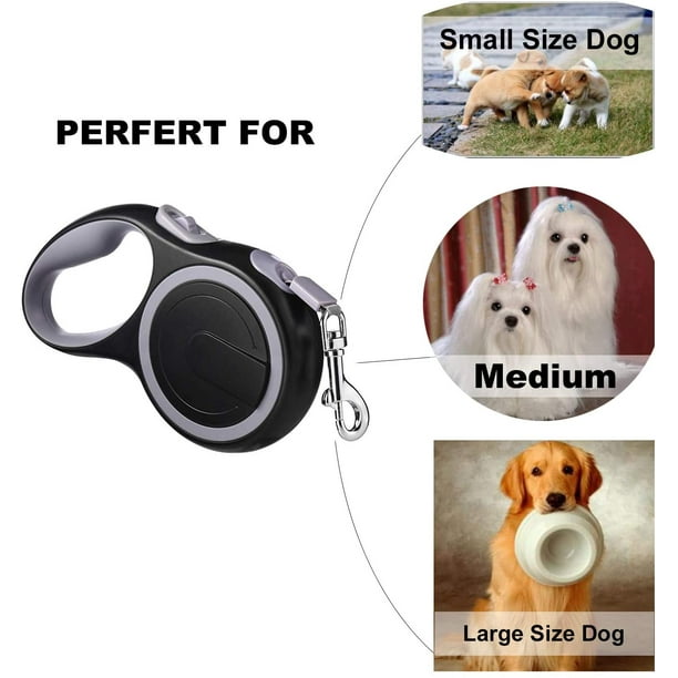 5m training lead clearance