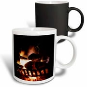 Photgraph Of A Very Hot Fire In An Outdoor Fireplace., 11oz Magic Transforming Mug