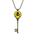 thumbnail image 1 of Danger Checal Toxic skull Symbol Key Necklace Pendant Tray Embellished Chain, 1 of 3