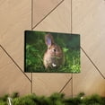 thumbnail image 6 of Majestic Rabbit Art Majestic Rabbit Print Animal Wall Art Wildlife Canvas Prints Wall Art Ready to Hang Unframed, 6 of 18