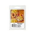 thumbnail image 1 of MAINSTAYS PEACH MANGO SCENTED WAX MELTS, 1 of 1