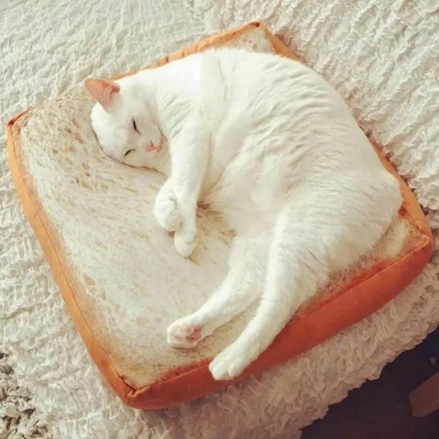 Cama para Mascotas, Pan Tostado, Funda de Almohada, Funda de Cojín, Cojín de Asiento para Gato perfecl Funda de almohada de pan para la cama de la cama de la cama del gato