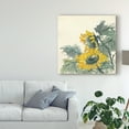 thumbnail image 3 of Trademark Fine Art 'Sunflower Watercolor II' Canvas Art by Chris Paschke, 3 of 4