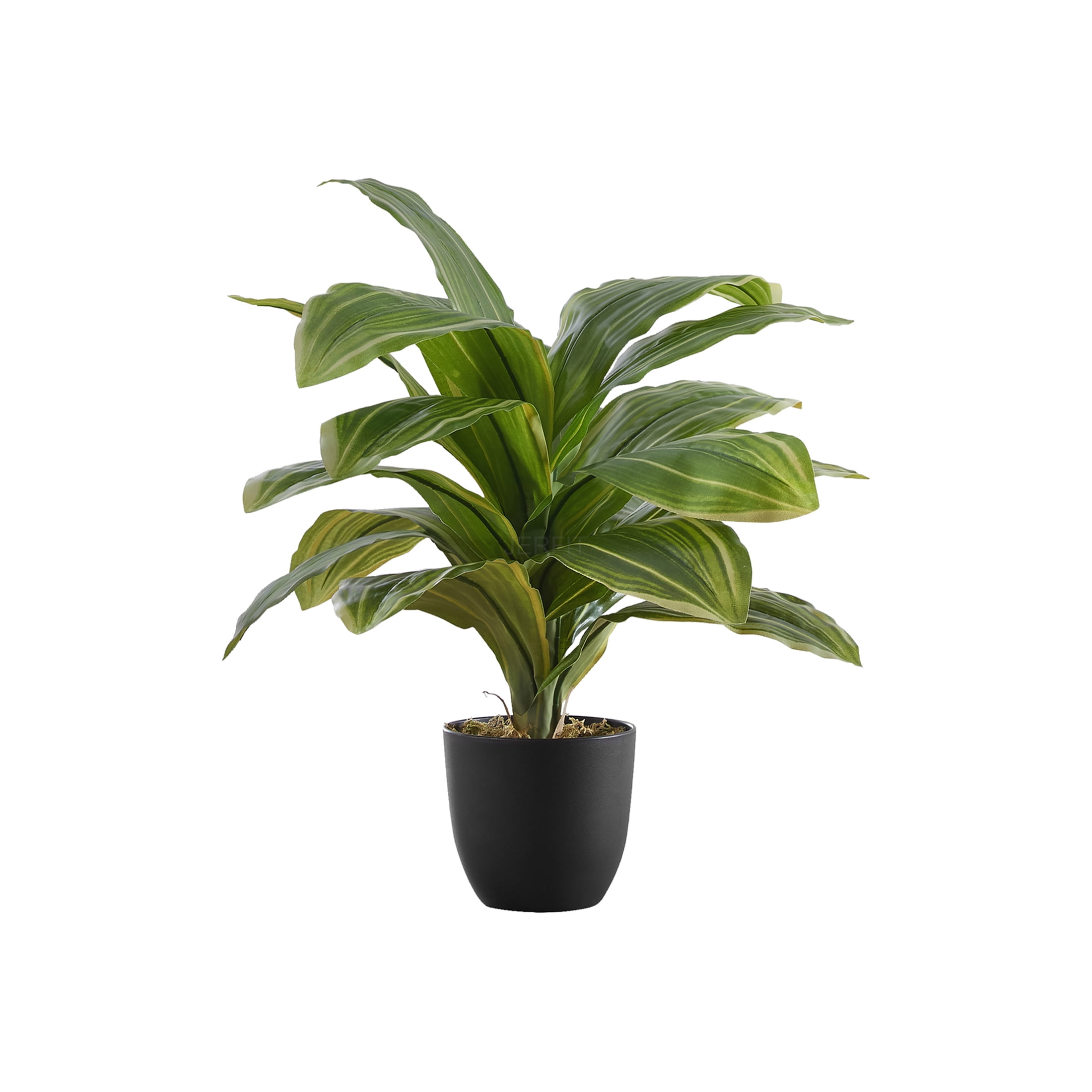 JERFIT 17" Real Touch Artificial Dracaena Plant in Pot, Faux Tabletop Greenery for Home Office Desk Decor, Low Maintenance Indoor Fake Plant
