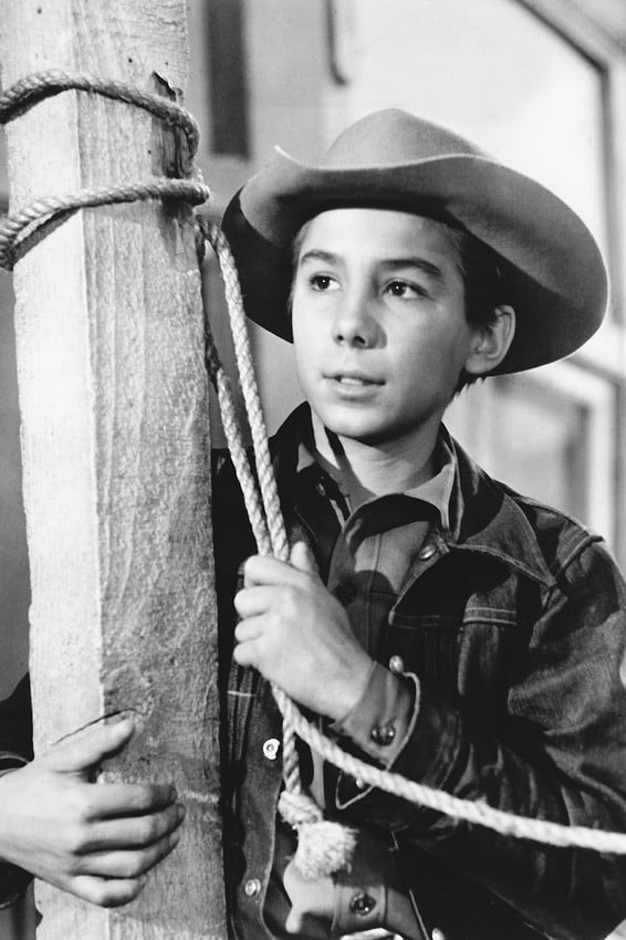 Johnny Crawford in The Rifleman portrait tv western 24x36 Poster ...