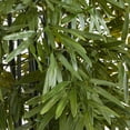 thumbnail image 2 of Nearly Natural 6ft. Bamboo Artificial Tree with Black Trunks in Planter UV Resistant (Indoor/Outdoor), Green, 2 of 4