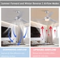 thumbnail image 6 of Wildnix Ceiling Fan Light with 6-Speed Adjustable Wind, Remote Control, LED Light with White, Warm, and Neutral Settings, Quiet Pure Copper Motor, 6 of 7