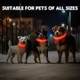 thumbnail image 2 of LED Dog Collar USB Rechargeable Glowing, Pet Collars Lighted Up Safety Necklace Glow in the Dark for You & Your Dogs (Red), 2 of 7