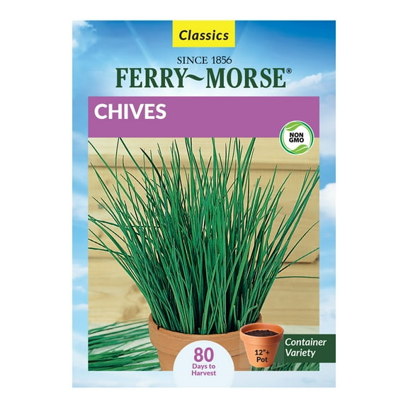 Ferry-Morse 510MG Chives Perennial Herb Seeds, Full Sun