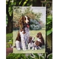 thumbnail image 3 of Carolines Treasures BDBA0288GF Springer Spaniels by Daphne Baxter Flag Garden Size, 3 of 3