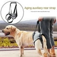 thumbnail image 2 of FurNest Dog Assistance Strap for Large Dogs Soft Padded Adjustable Dog Back, 2 of 3
