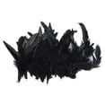 thumbnail image 1 of 50 Manualidades de s de Gallo Teñidas para Suministros de Gallo, Color Negro, 1 of 9