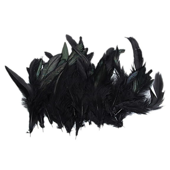 25Pairs Black Feather Wedding Clothing Decoration For Craft DIY