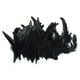 thumbnail image 1 of 25 Pares de Ropa de Plumas de Gallo Teñidas de Negro para Manualidades DIY, 1 of 9