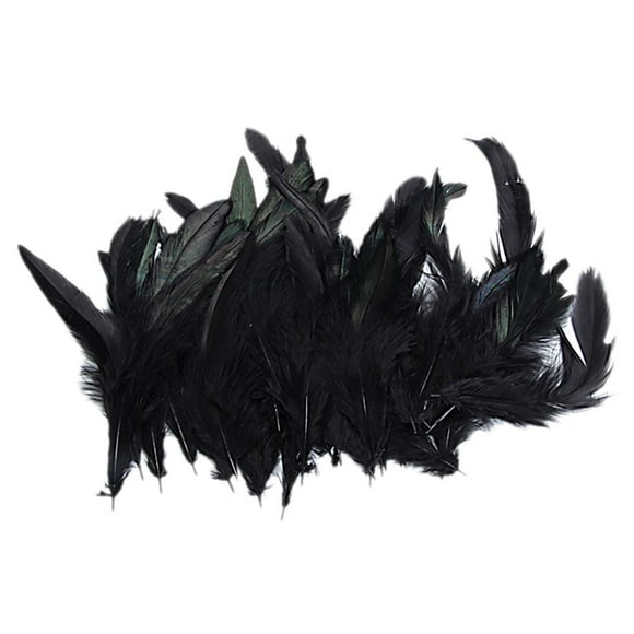 25Pairs Black Dyed Feather Wedding Clothing Decoration for Craft DIY