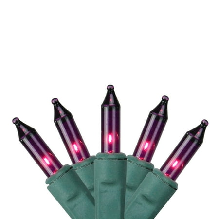 Sienna Set of 100 Super Bright Purple Mini Christmas Lights - Green Wire