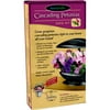 Cascading Petunia Seed Kits