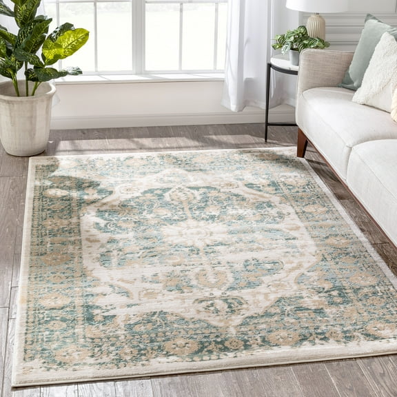 Farmhouse Area Rugs Blue