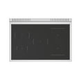 thumbnail image 5 of Bertazzoni Pro365icfept Professional 36" Wide 5.7 Cu. Ft. Free Standing Induction Range -, 5 of 6