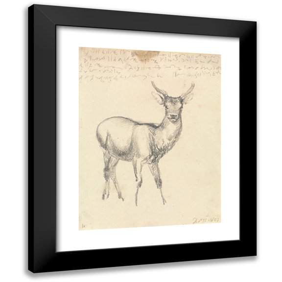 Robert Hills 12x14 Black Modern Framed Museum Art Print Titled - A Young Deer (1801)