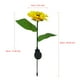 thumbnail image 3 of Luces de jardín solares LED Lámpara de girasol impermeable para exteriores | Cambio de color | Tallos ajustables | IP66 resistente a la intemperie | Batería Ni-MH de 1,2 V/600 mAh | 1 paquete, 3 of 9